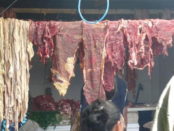 hanging bodyparts2