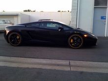 Black Gallardo