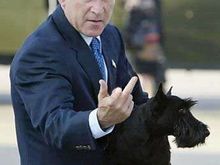 bush finger
