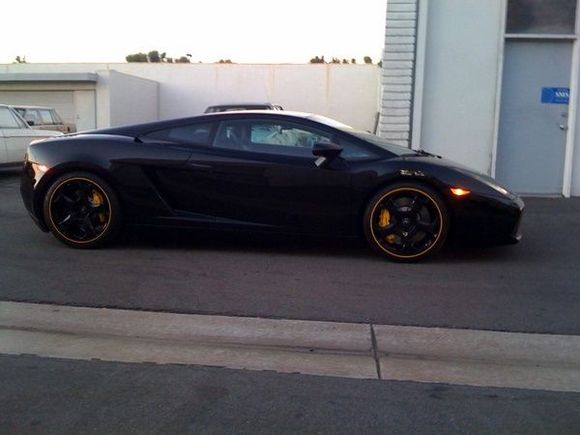 Black Gallardo