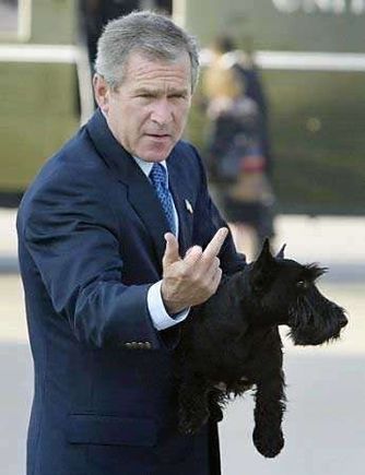 bush finger