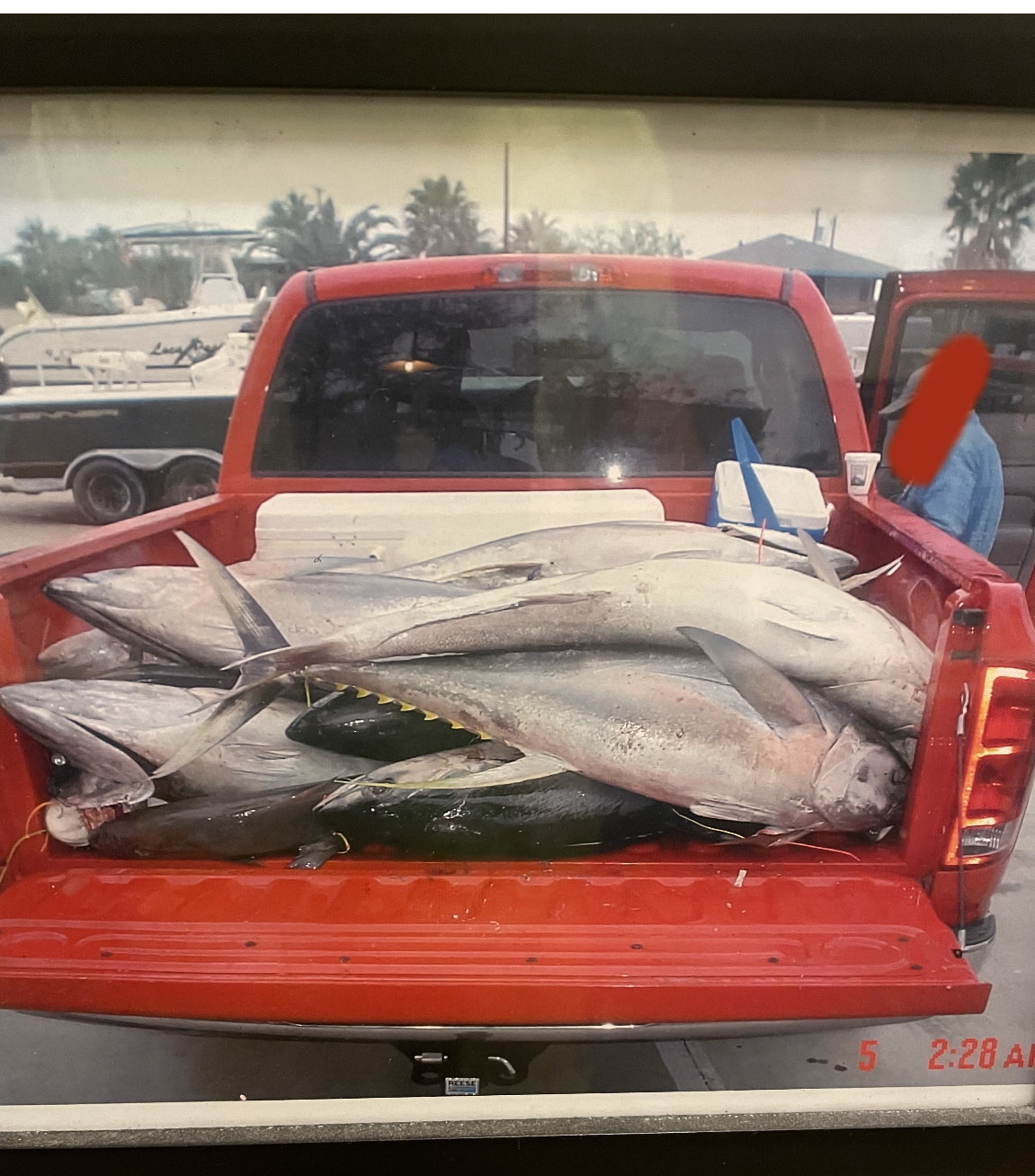 Texas Headboat Lands Giant Bluefin Tuna