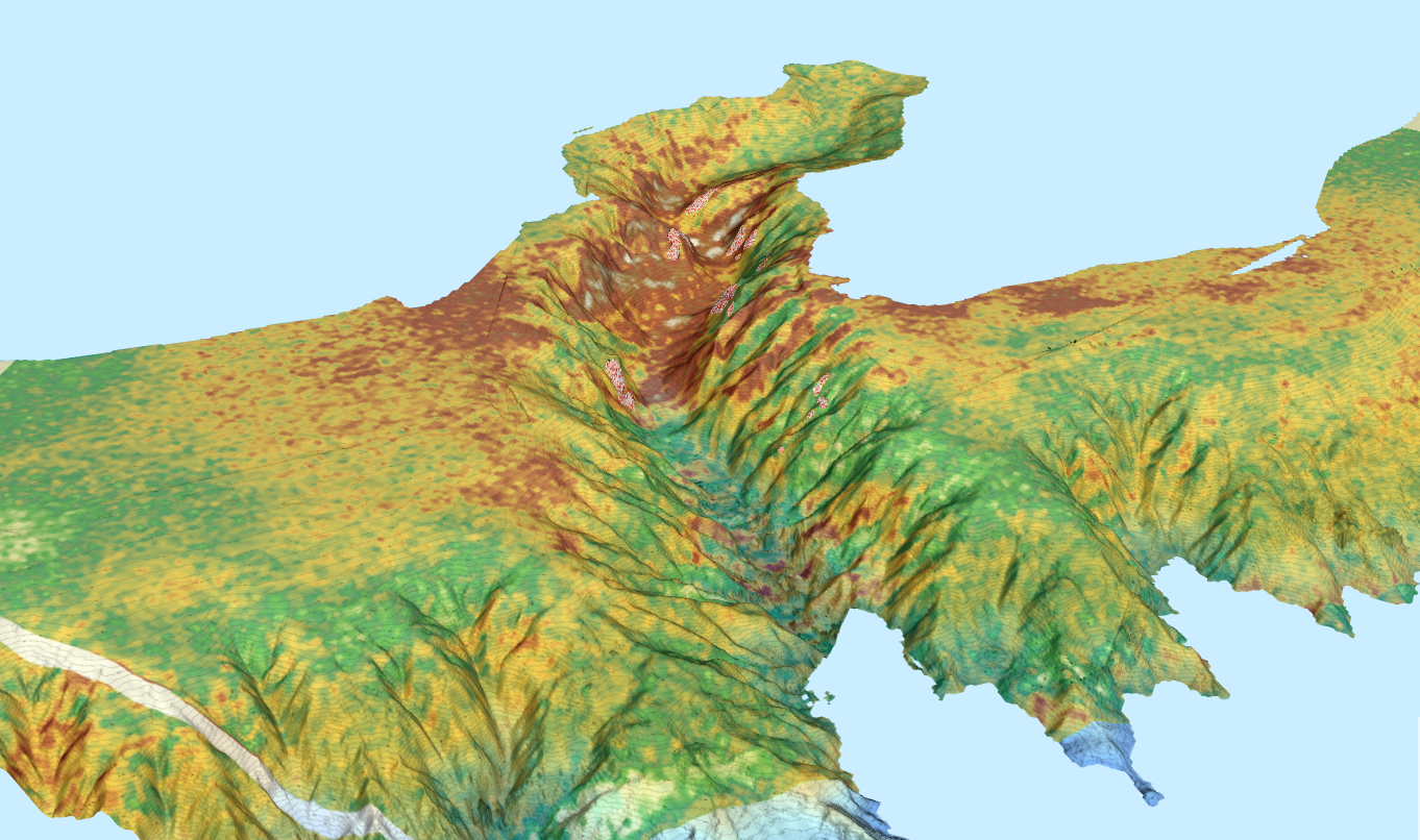 How to enable 3D for custom maps with 3D cartography on Simrad 