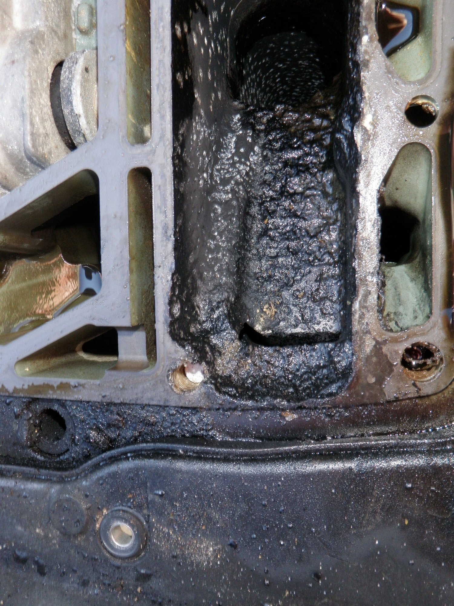 2015 Yamaha 150 Exhaust Corrosion The Hull Truth Boating and