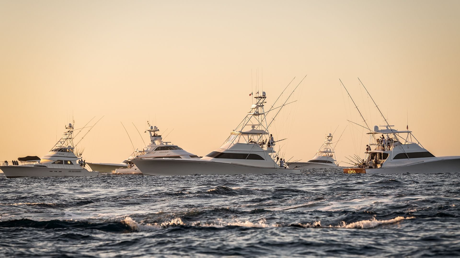 Bisbees Black And Blue Photos The Hull Truth Boating and Fishing Forum