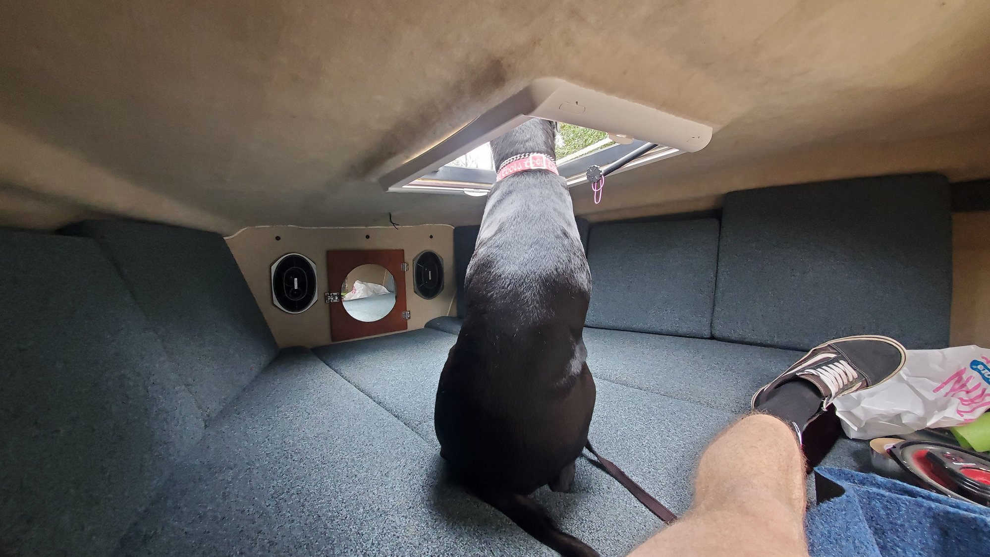 Inside the cabin, before I tore it all apart. Dog likes the boat