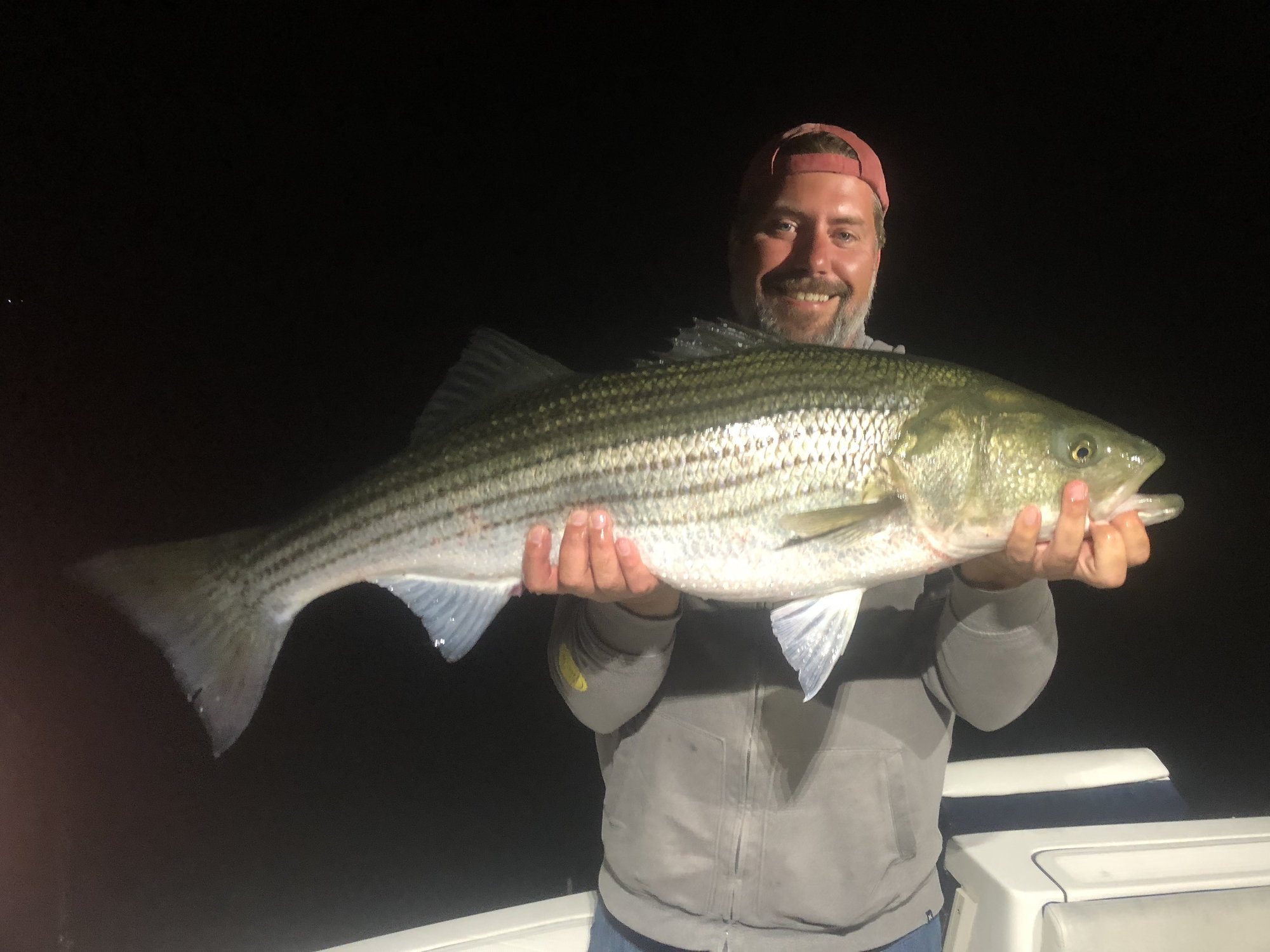 Striped Bass, Circle Hooks, Gut Hooking - The Hull Truth - Boating and  Fishing Forum