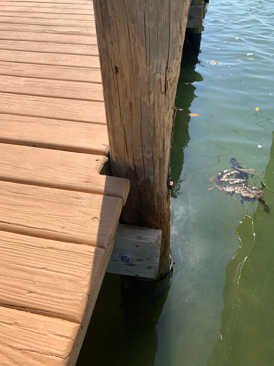 What size is your docks pilings? New product to protect your boat