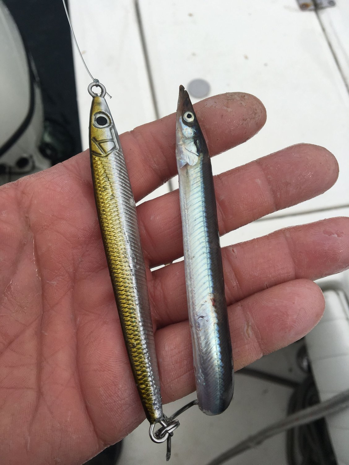 Q&A: Best Lures for a Norwegian Fishing Trip – Hogy Lure Company Online Shop