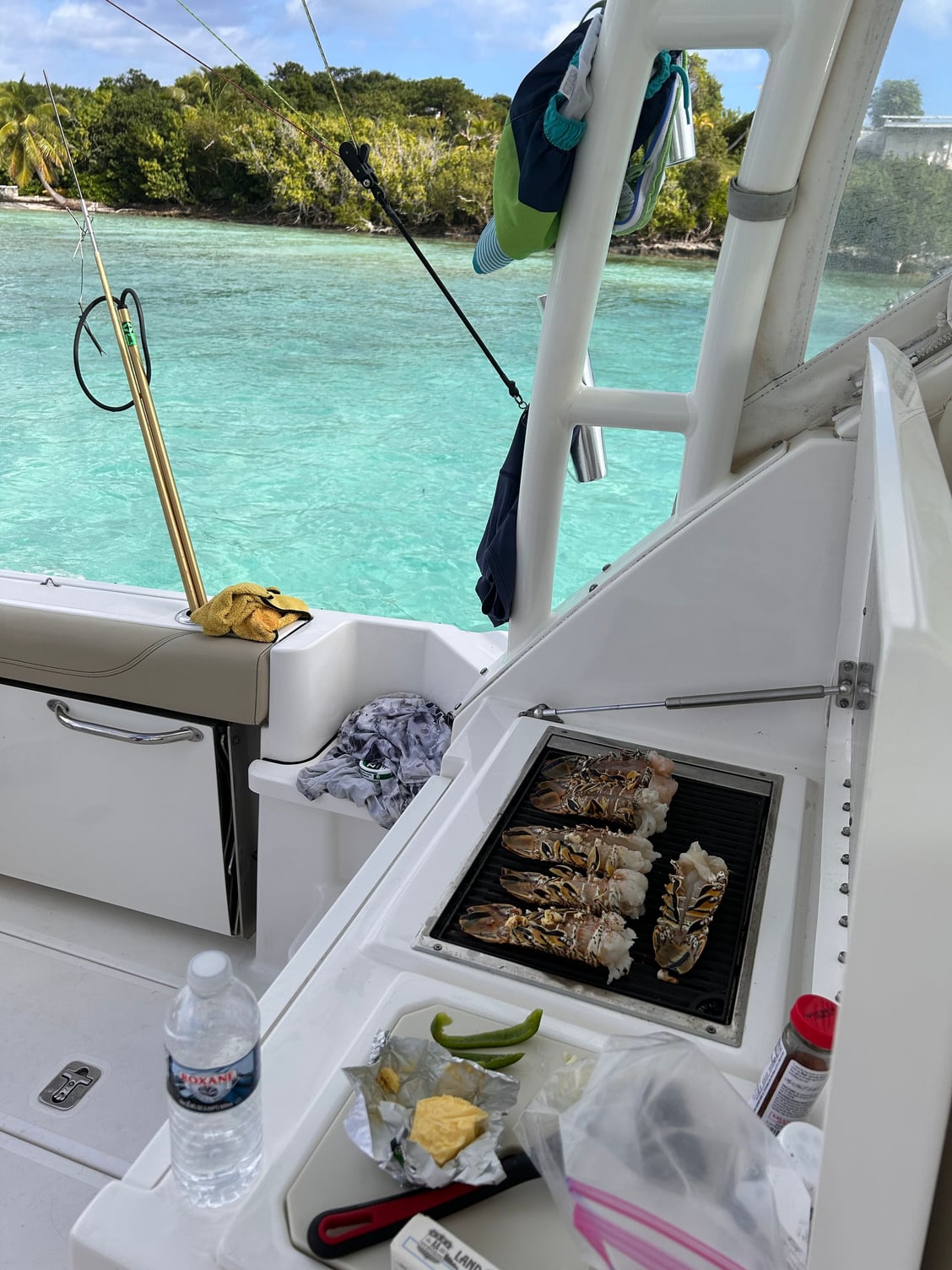 Have we had a Best Boat Grill thread lately? - Page 2 - The Hull Truth -  Boating and Fishing Forum