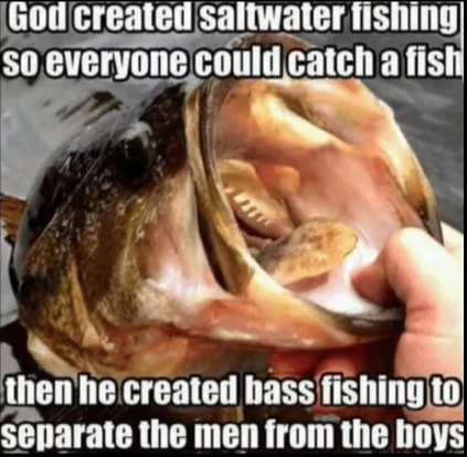 Saltwater vs freshwater fishing - The Hull Truth - Boating and