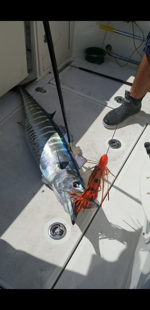 What is your favorite high speed wahoo lure - The Hull Truth - Boating and  Fishing Forum