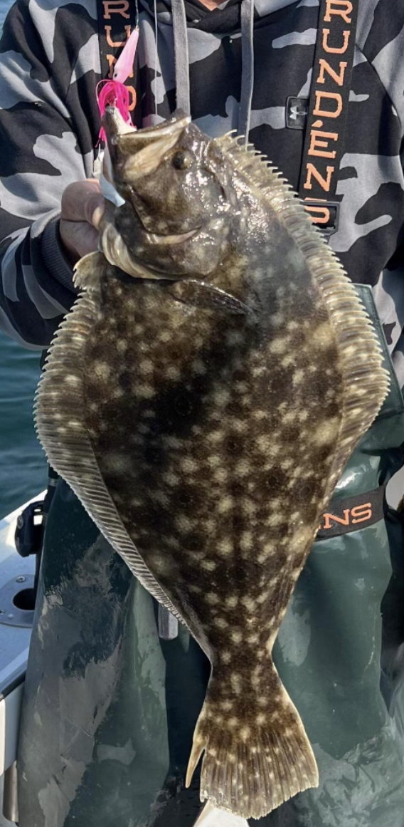 Flounder - The Hull Truth - Boating and Fishing Forum