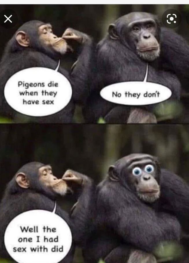 6adc24c3_9a4c_46d0_8f89_9e95ba83ab2f_6fa