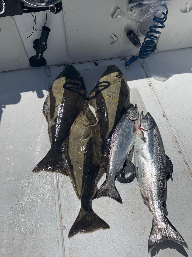 Fishing Report Ucluelet BC June 7, 2023 - The Hull Truth - Boating