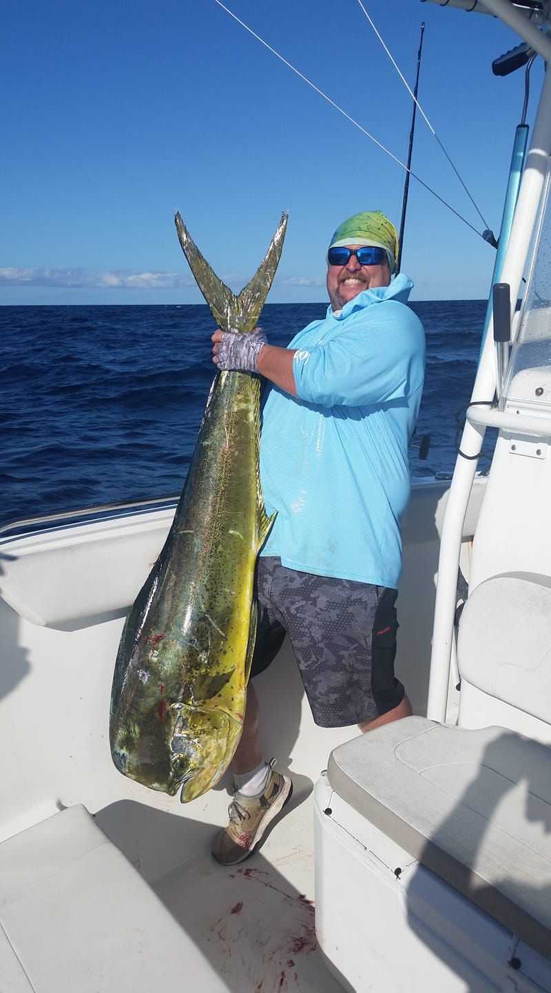 Mahi mahi lures - The Hull Truth - Boating and Fishing Forum