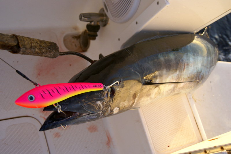 Hawaiian Trolling lures lot 4 -5 - The Hull Truth - Boating and Fishing  Forum