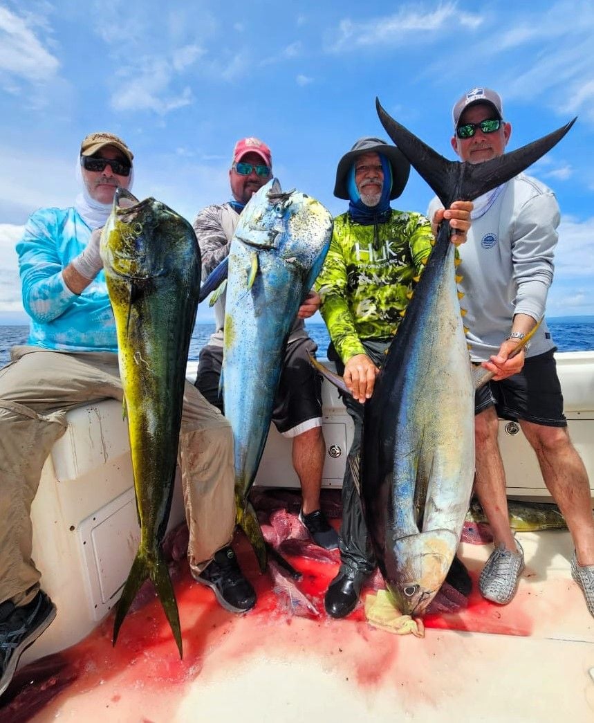 Sport Fish Panama Island Lodge - May 2023 Report - Monster Dorados, YFTs,  and More!!! - The Hull Truth - Boating and Fishing Forum