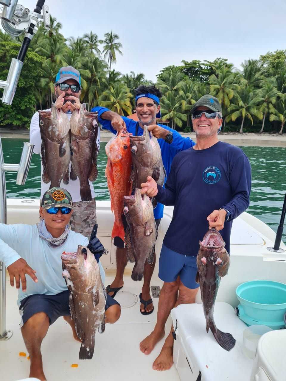 Over 15 SPECIES - August 2022 - Photo Dump from Sport Fish Panama ...
