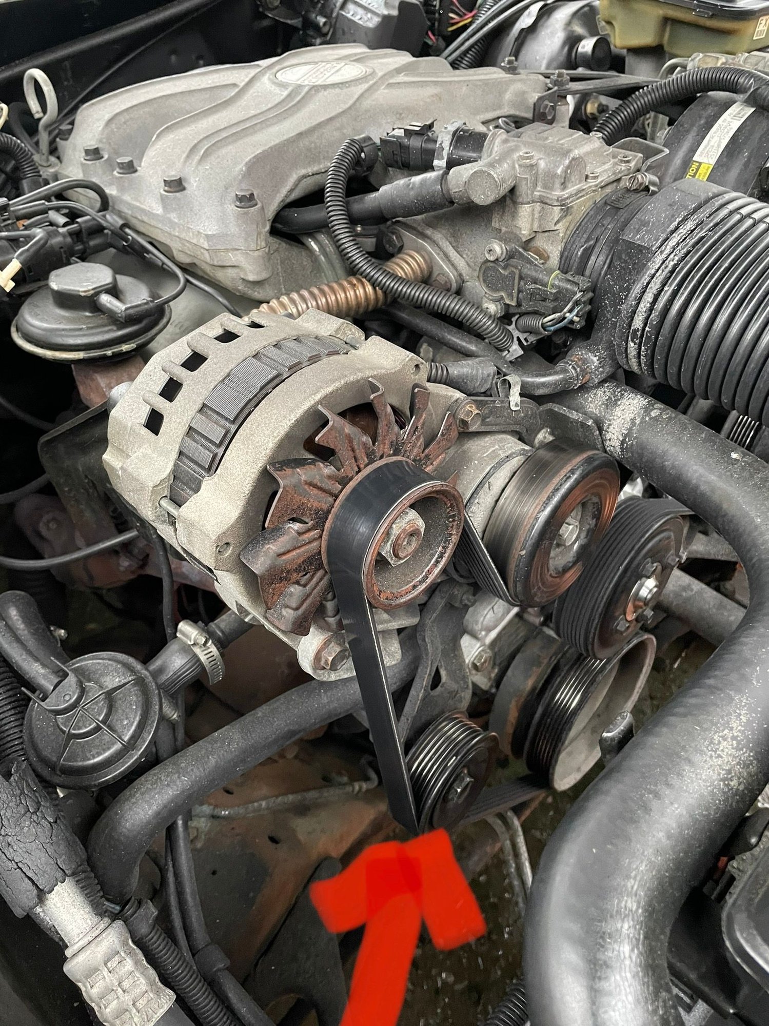 Serpentine drivebelt smoking Third Generation FBody Message Boards