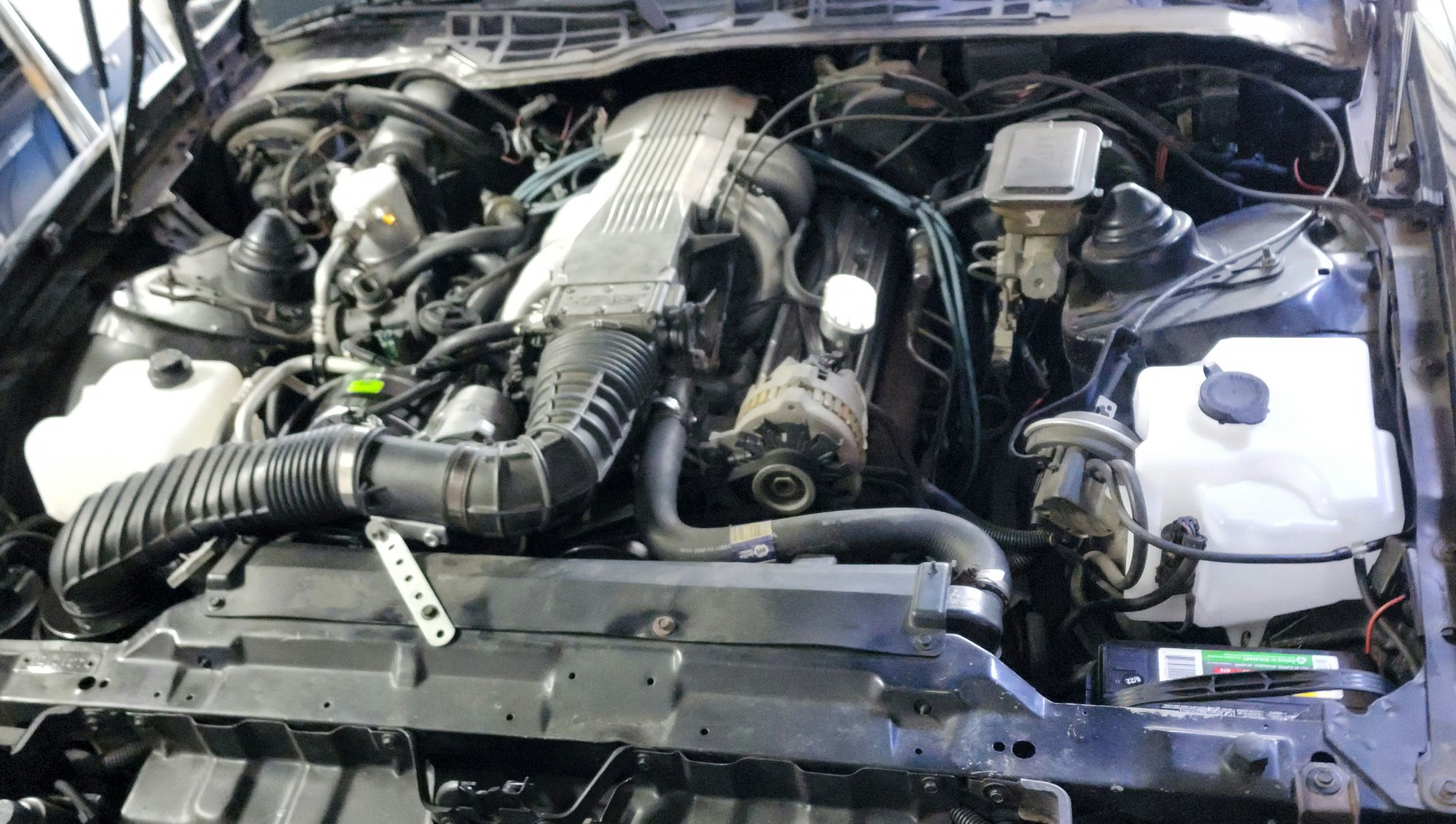 Clear master cylinder reservoir? Third Generation FBody Message Boards