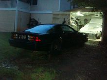 Gave it a quick bath to knock the tree grime off. 