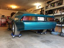 The Teal Shark