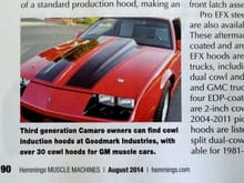My car was used in the Goodmark Hoods article .