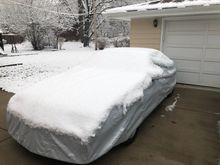 Brushed 95% of the snow off.  Sun melted the rest.  Was dry underneath. 
