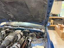 I did replace the hood struts so I felt like I got something done.