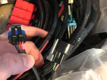 Had Pocket eliminate the white weather pack for the coils for a cleaner install