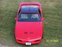 My 1991 Trans Am GTA