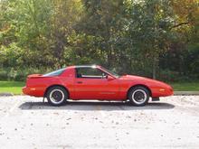 91