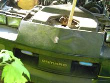 Front of Vehicle