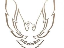 1982 Trans Am Sail Panel Bird