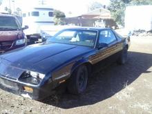 Sleeper lol hit a dear at one point different looking for bumpers that have the lights and all the under body kits