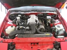 I started detailing the car from the engine bay.  Here is the beginning.