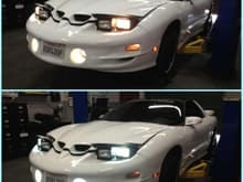 New HID's for my Firehawk
