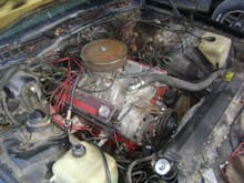 Here is the 350ci motor from a 71 caprice interceptor, i know the engine bay dont look like much in this photo but im still workig on it