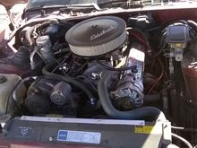 350 HO, vortec heads, Edelbrock carb
