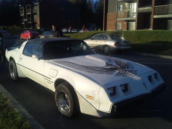 trans am 1981 official pace car.original paint but need a refresh.