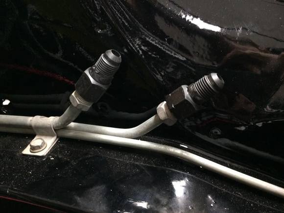 Custom made fuel line -6 adapters.