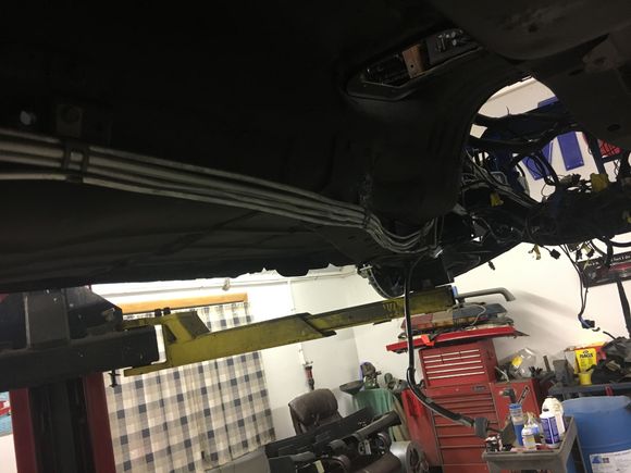 FYI... Prebent lines are awesome; however, don’t expect to install these things without a fight. Just need the “filter to tank” rubber/ steel line to come in and I can button up all the plumbing.