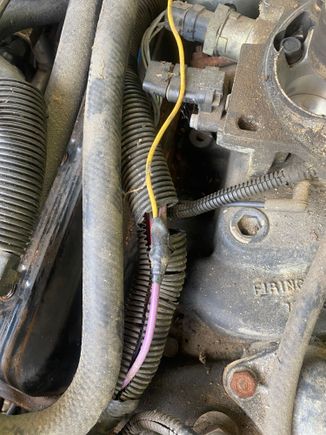 In my 1990 Bandit II Edition Firebird I have this wire that runs from a button under the dash into this purple wire in the wiring harness in the engine bay. The other side of the wire on the button isn’t connected currently and I have no idea what it’s for. What is the big purple wire for? And what might the button be for?