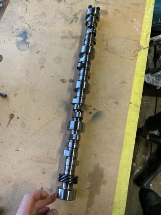 OEM roller cam, 86-up SBC motors