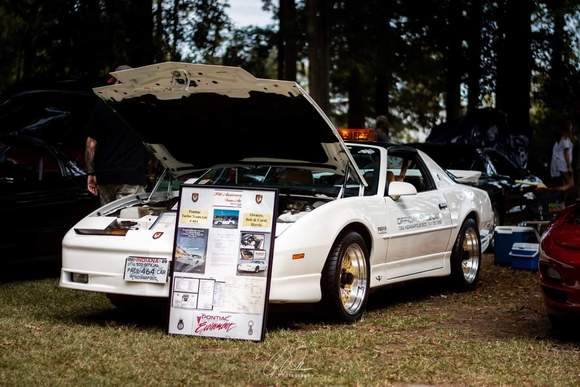 2019 "Bama Birds" All Pontiac Car Show, Clanton Alabama