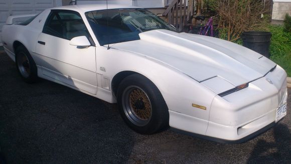back to all white(still a 10 footer though)