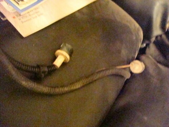 Not a big deal but mine top and the other bottom. Different lengths which show another difference in the harness.