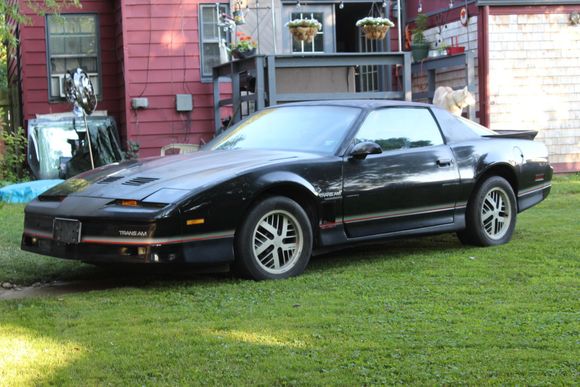 86 T/A bought in 2019. 92,000 miles, 305, tuned port injection, posi, 3;23, rear disc brakes