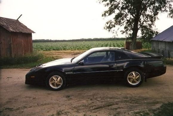 1986 Trans Am Recaro Edition. 5.0L carbureted “G” motor??